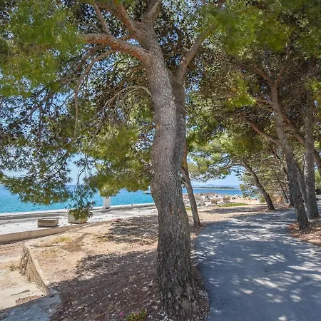 Apartman Calida B